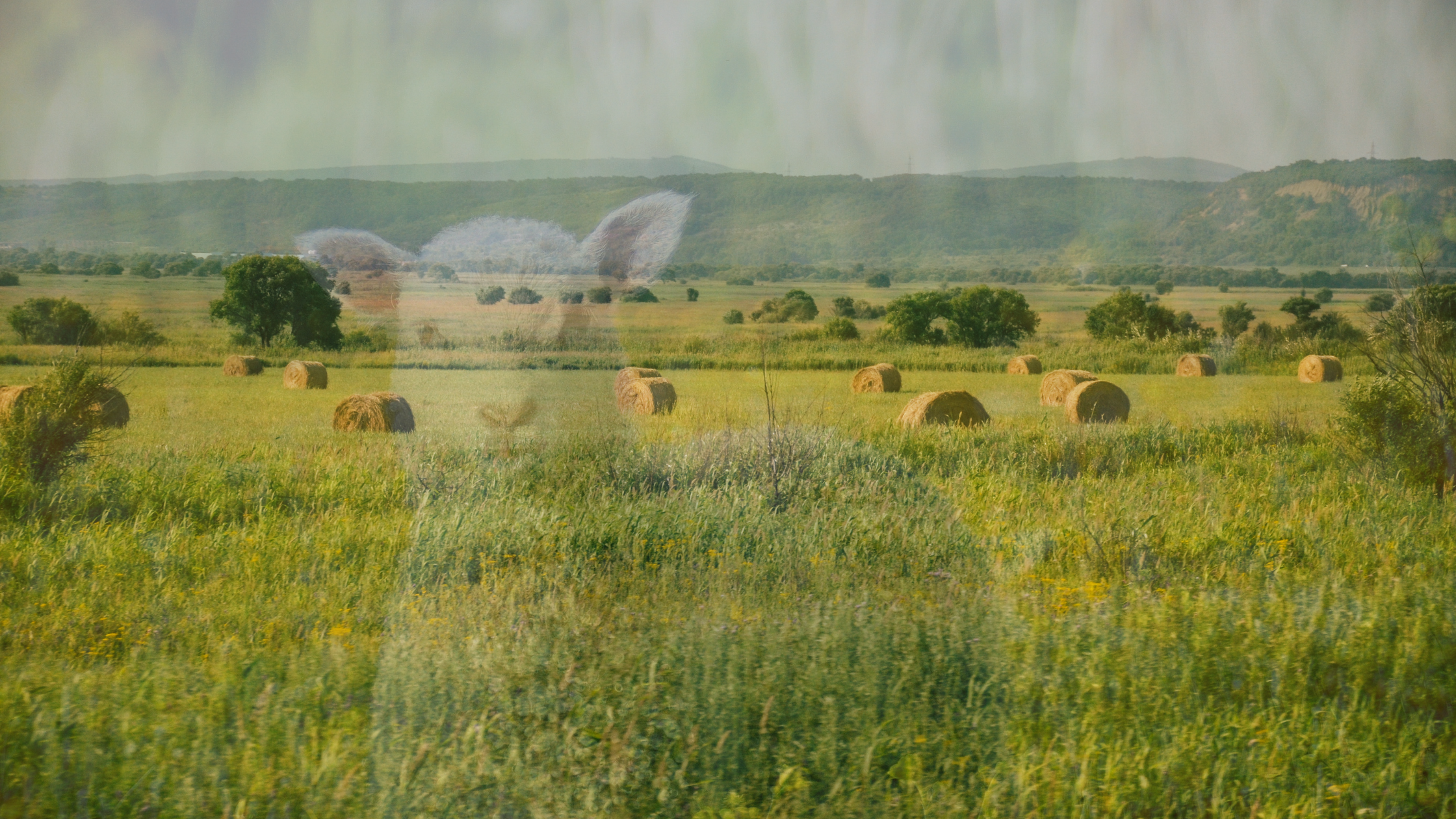 A Closer Look: Responsible Wool Standard (RWS) 2.2 - Fertilizers and Pesticides