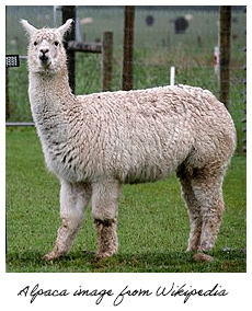 Alpaca image taken from Wikipedia